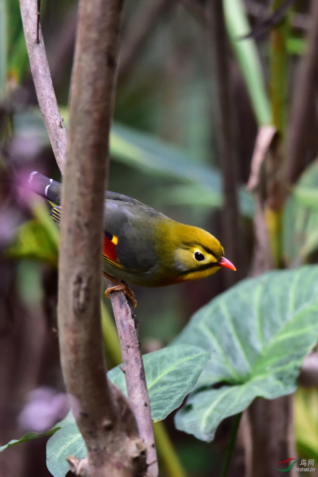 DSC_0373.JPG
