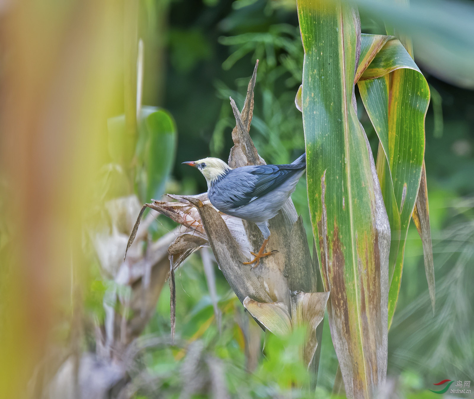 DSC_5627.jpg