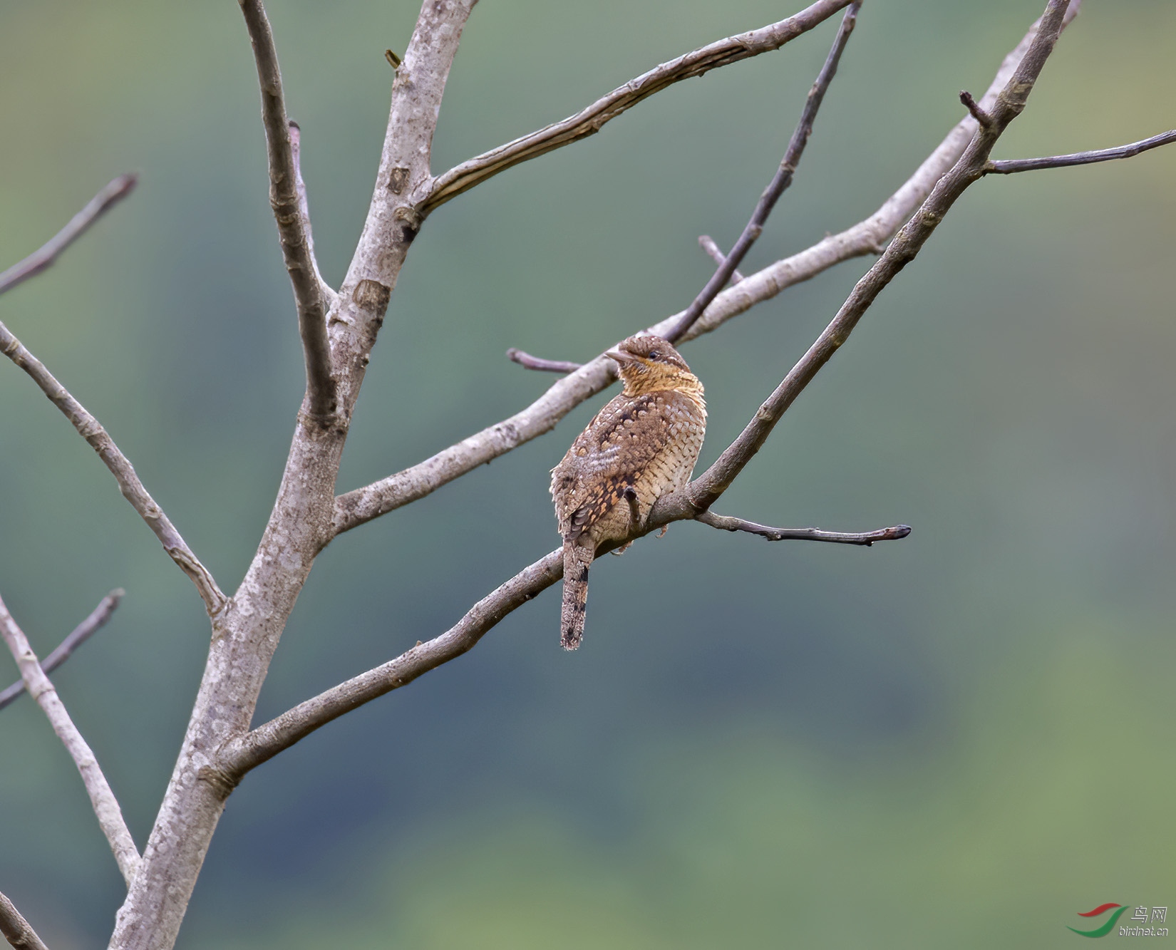 DSC_5602.jpg