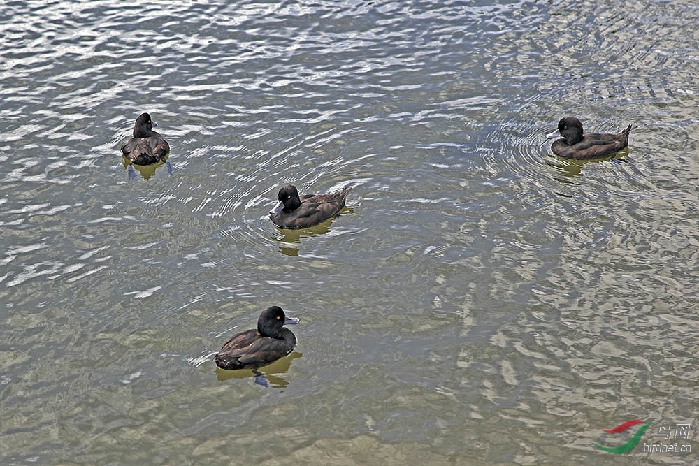 IMG_8686.jpg