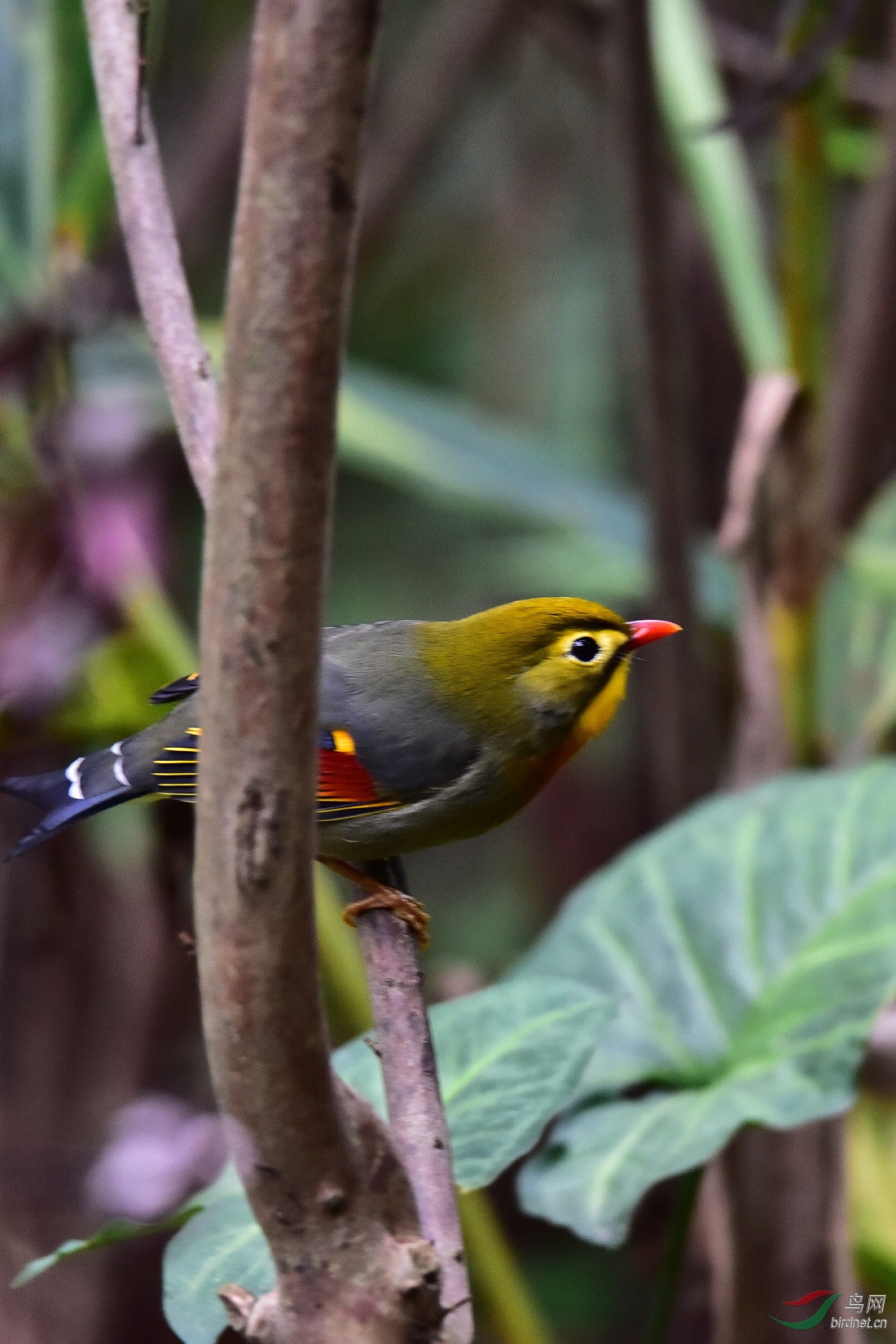 DSC_0379.JPG