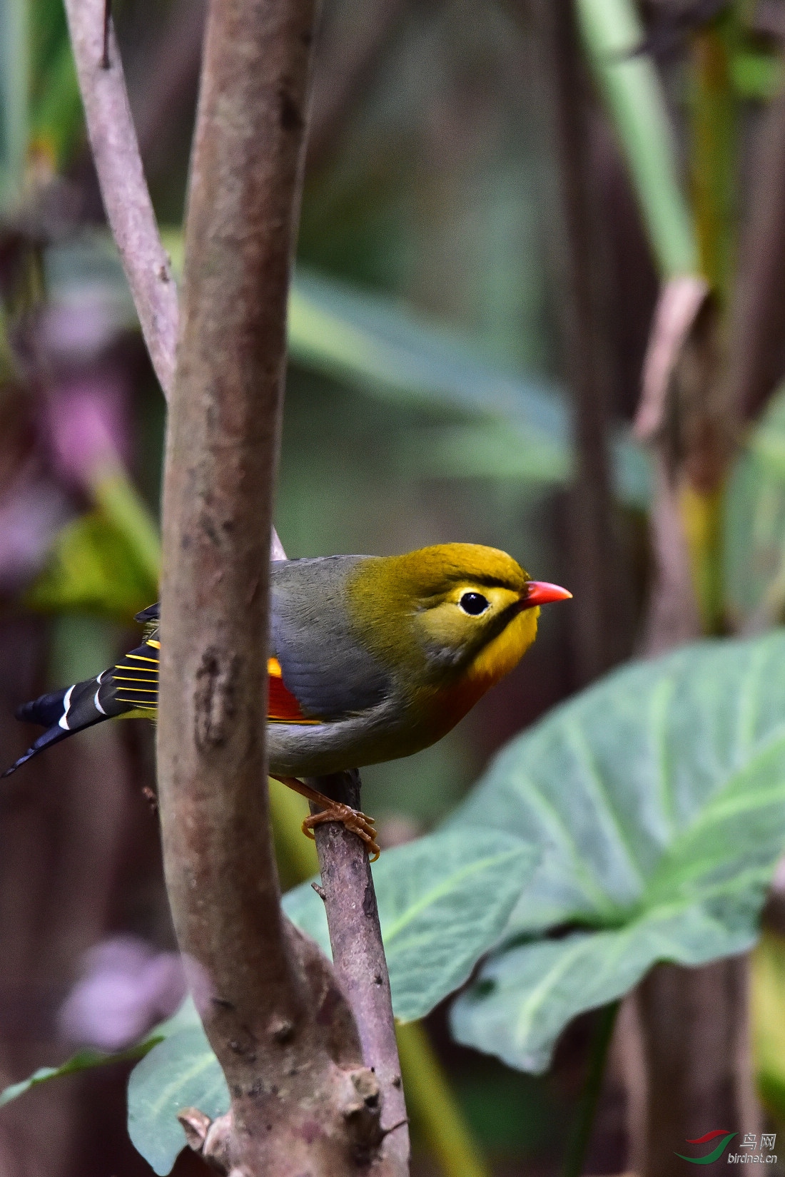DSC_0380.JPG