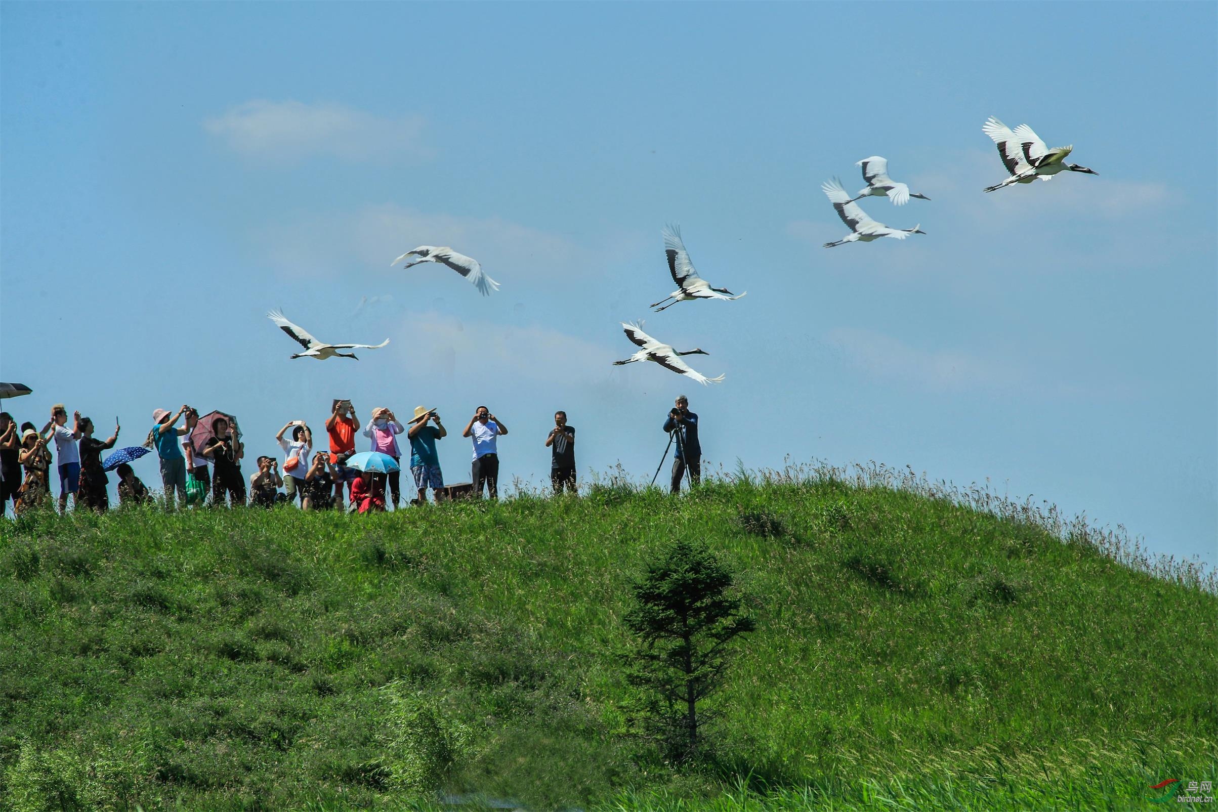 -624-623-չ �� �� ��.jpg