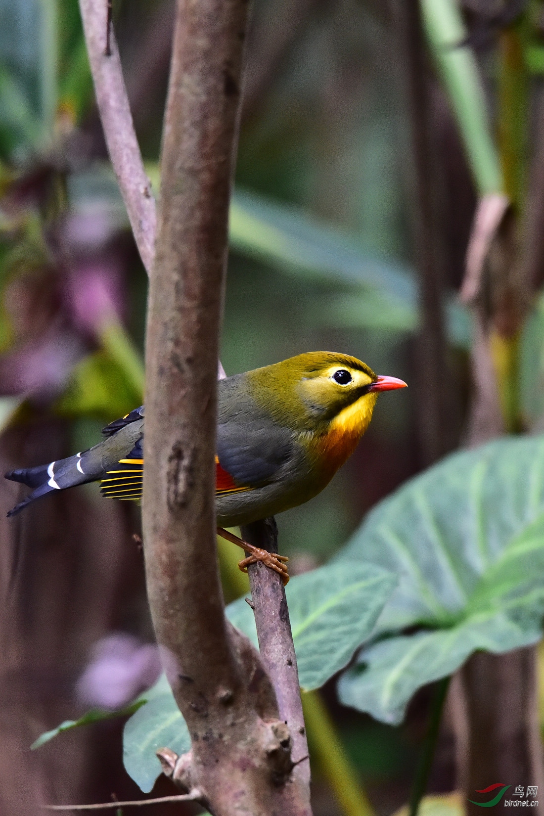 DSC_0381.JPG