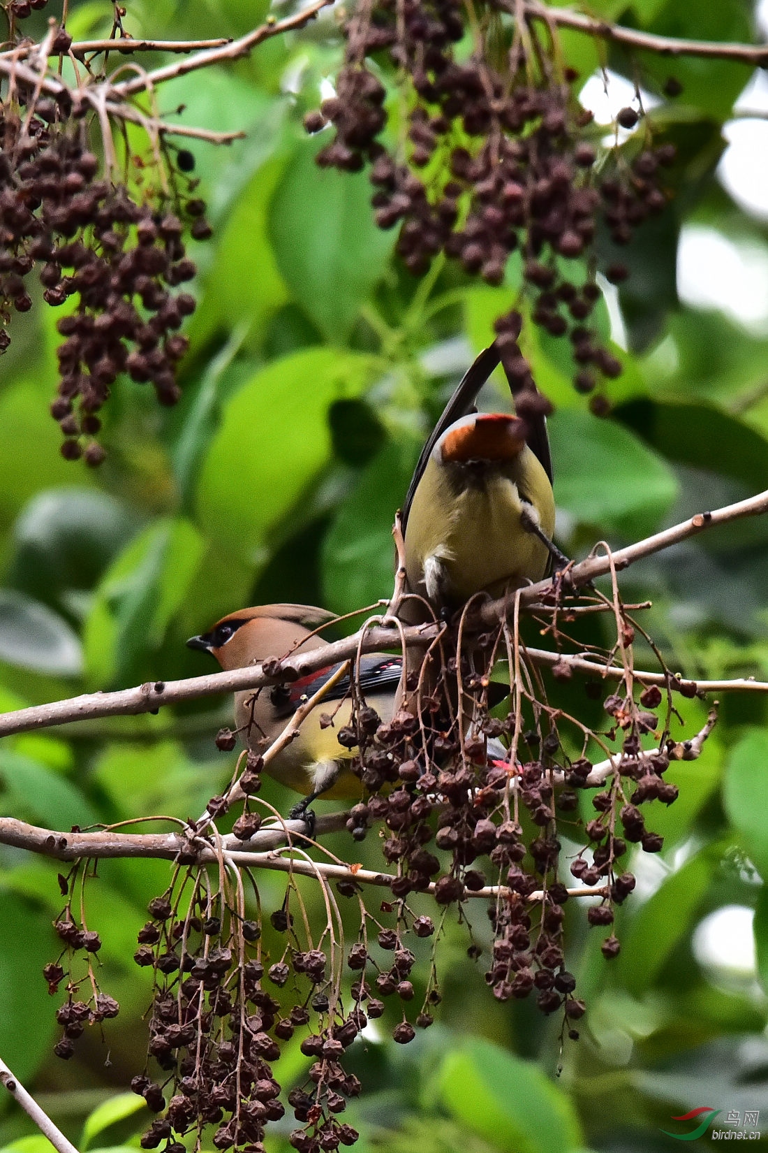 DSC_0382.JPG
