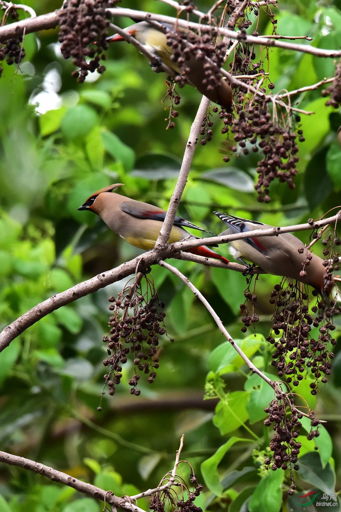 DSC_0384.JPG