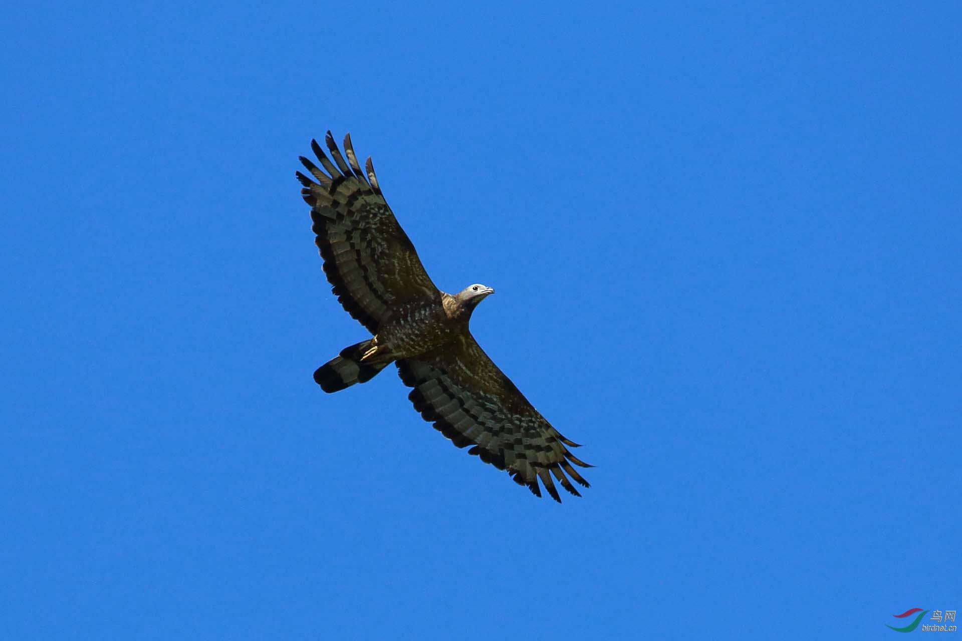 IMG_0400.JPG