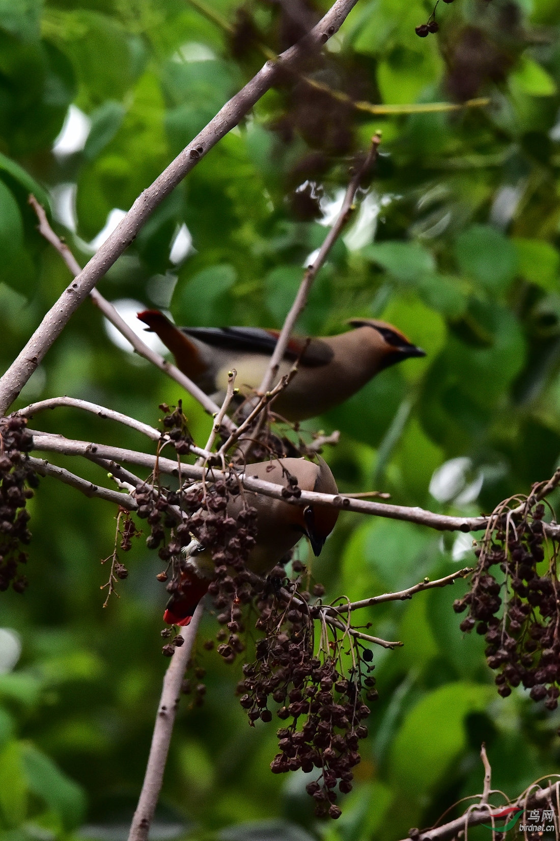 DSC_0390.JPG