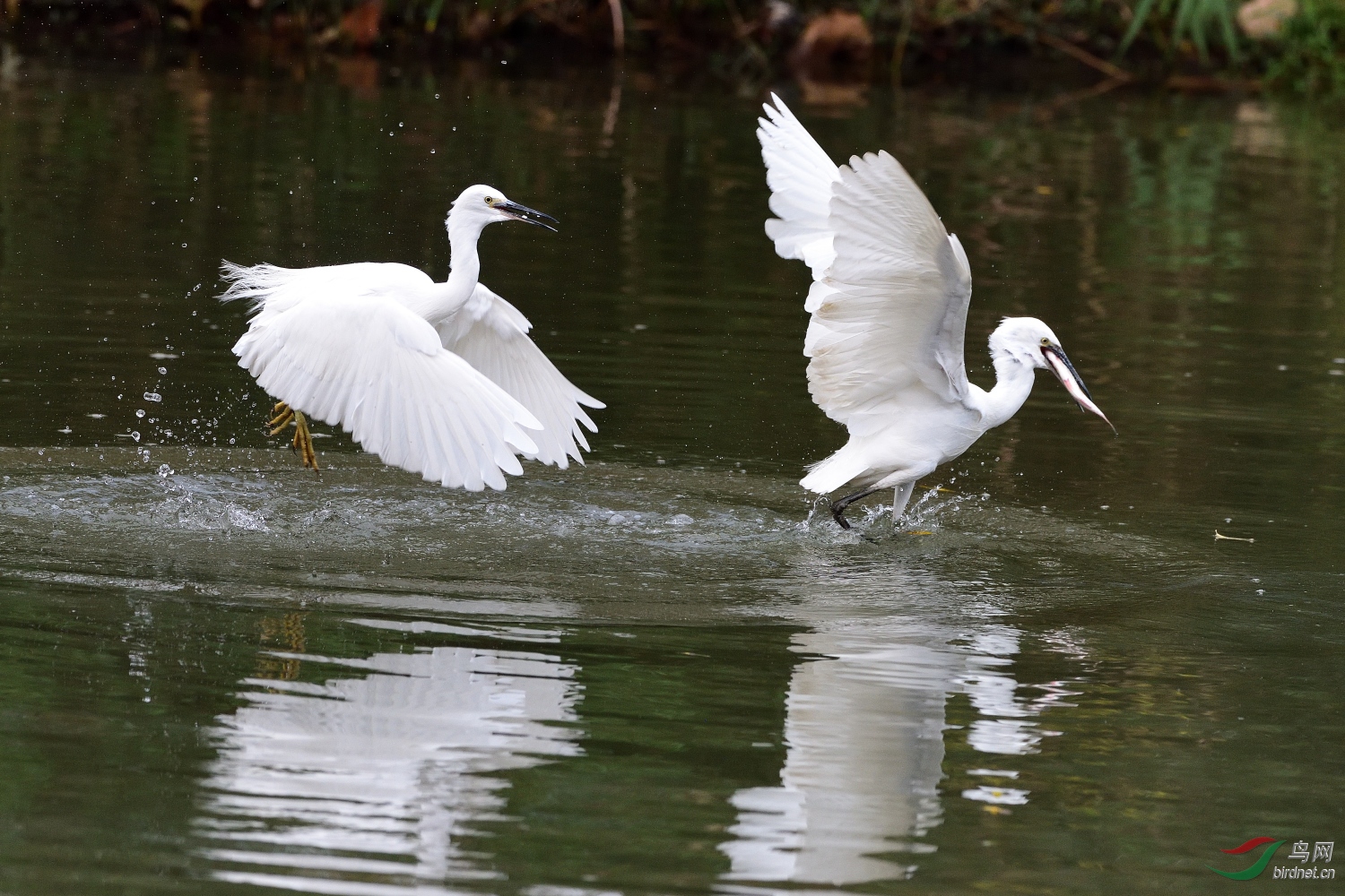 DSC_0790_00001.jpg