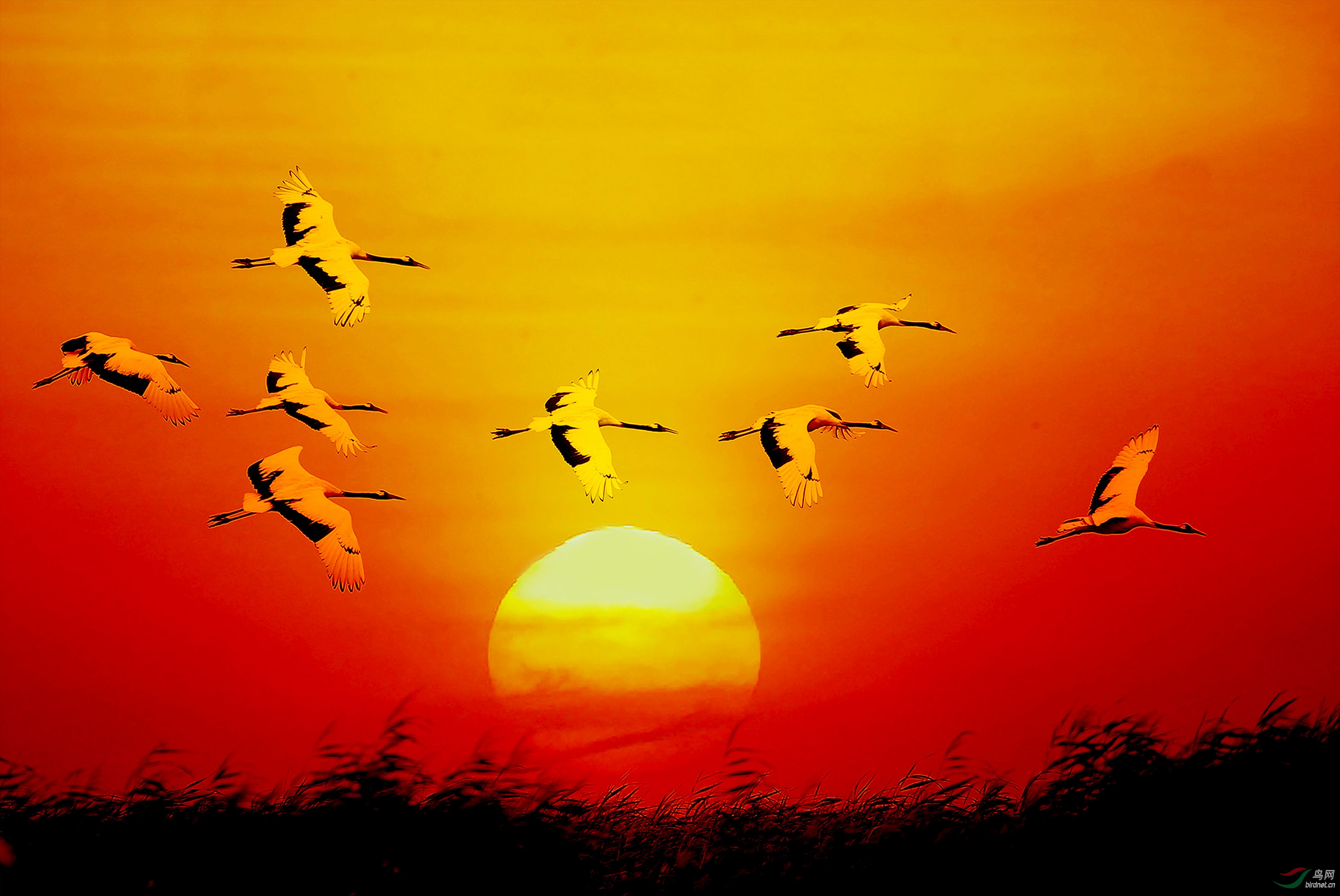 AB0R6714�ĸ��� 2.jpg