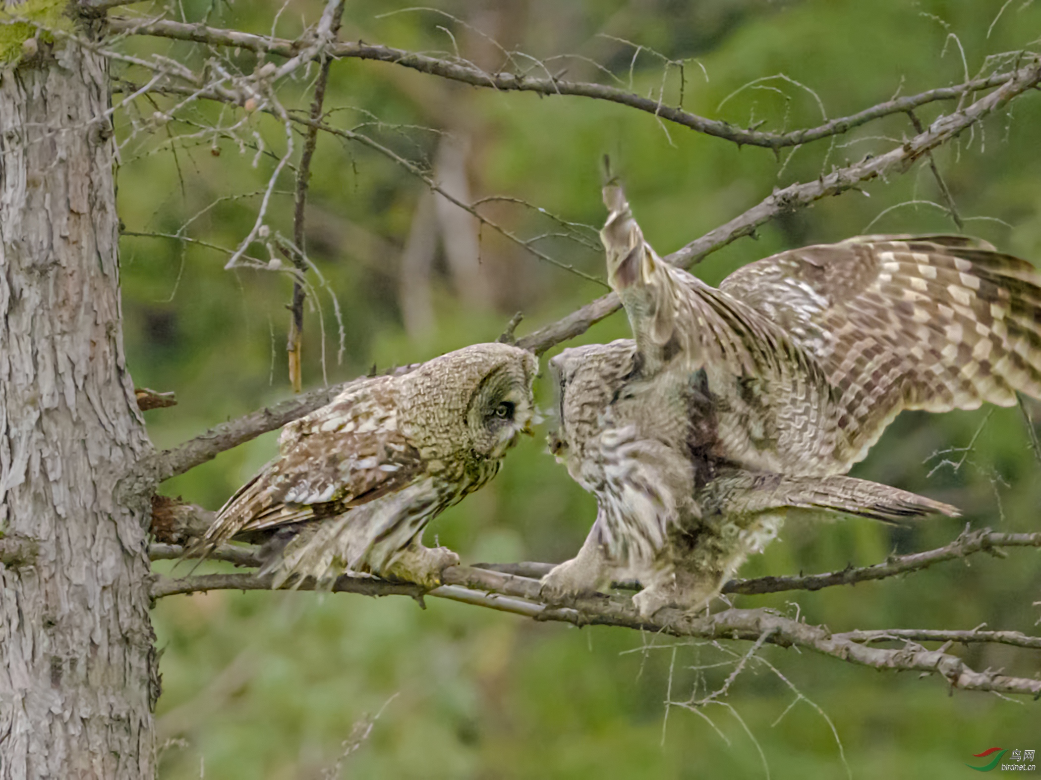 �����^��Ƶ