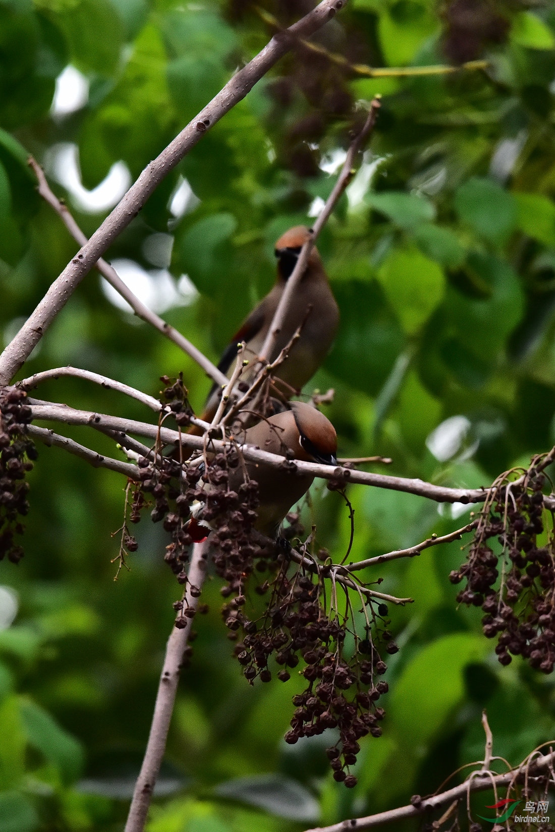 DSC_0391.JPG