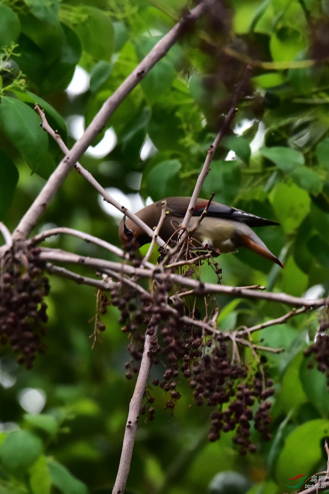 DSC_0392.JPG