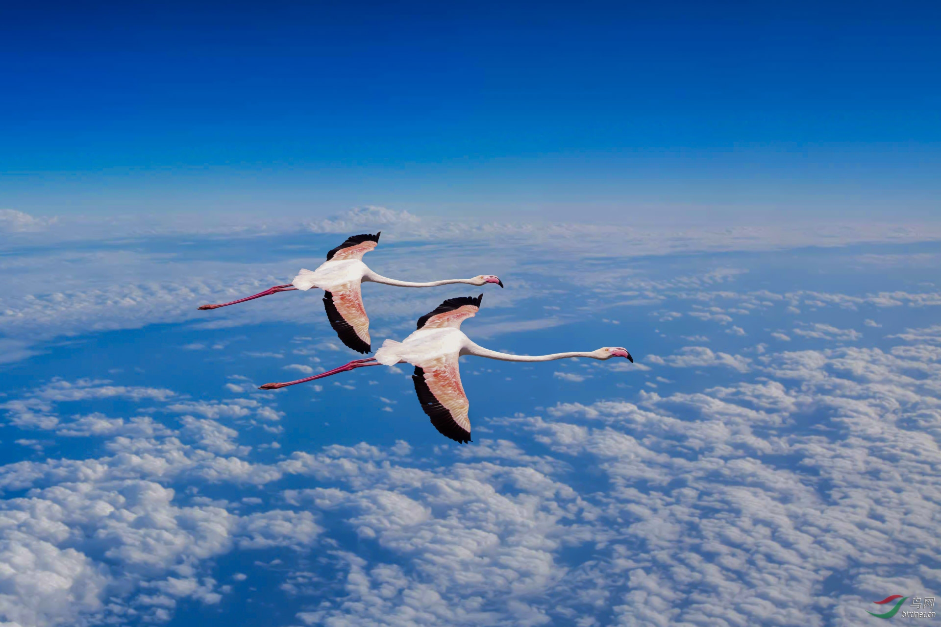 ��������19 ������ 1920x500k.jpg