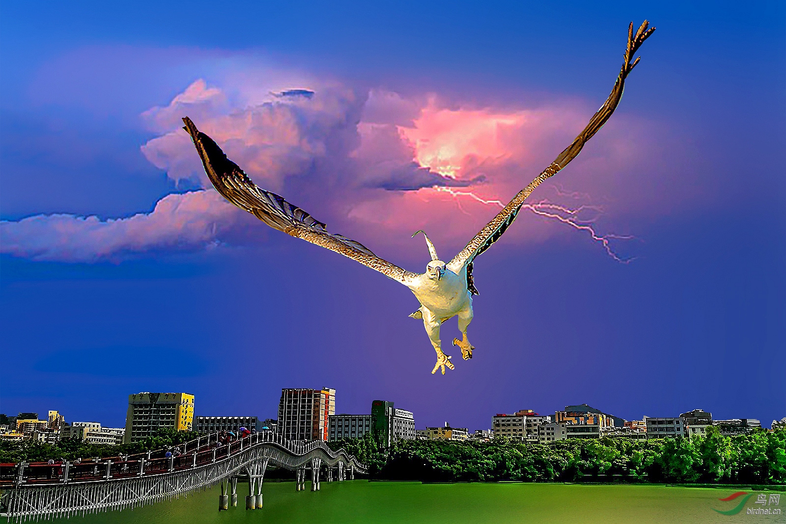 QJ6122011559_���� (2)_����_����_����.jpg