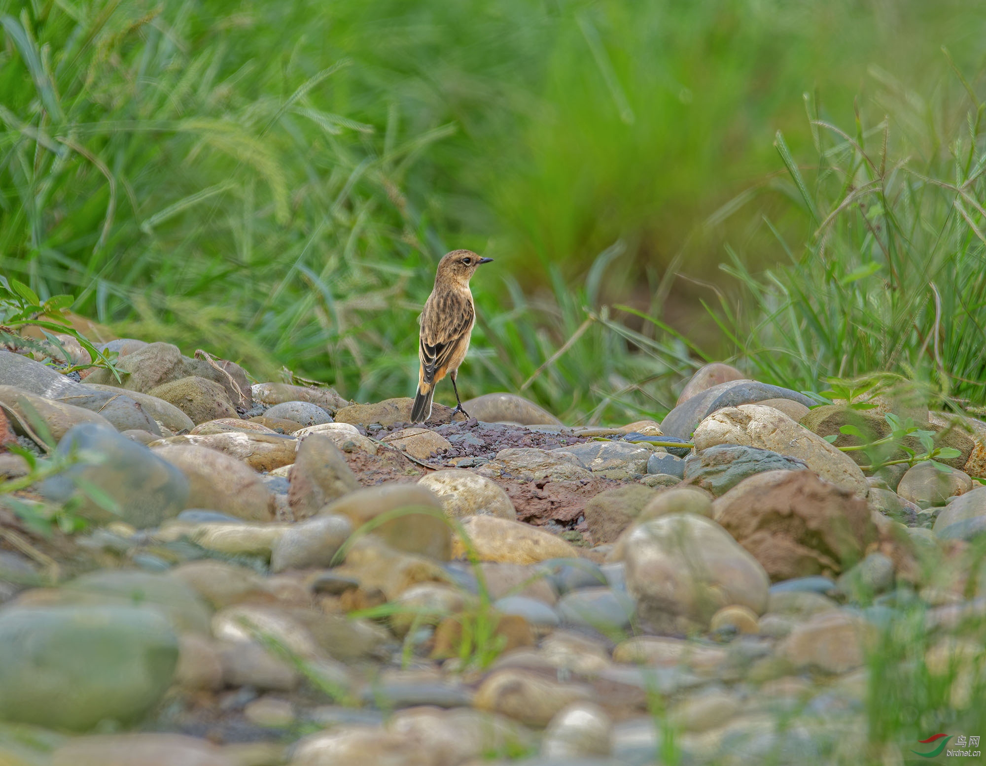 DSC_5727.jpg