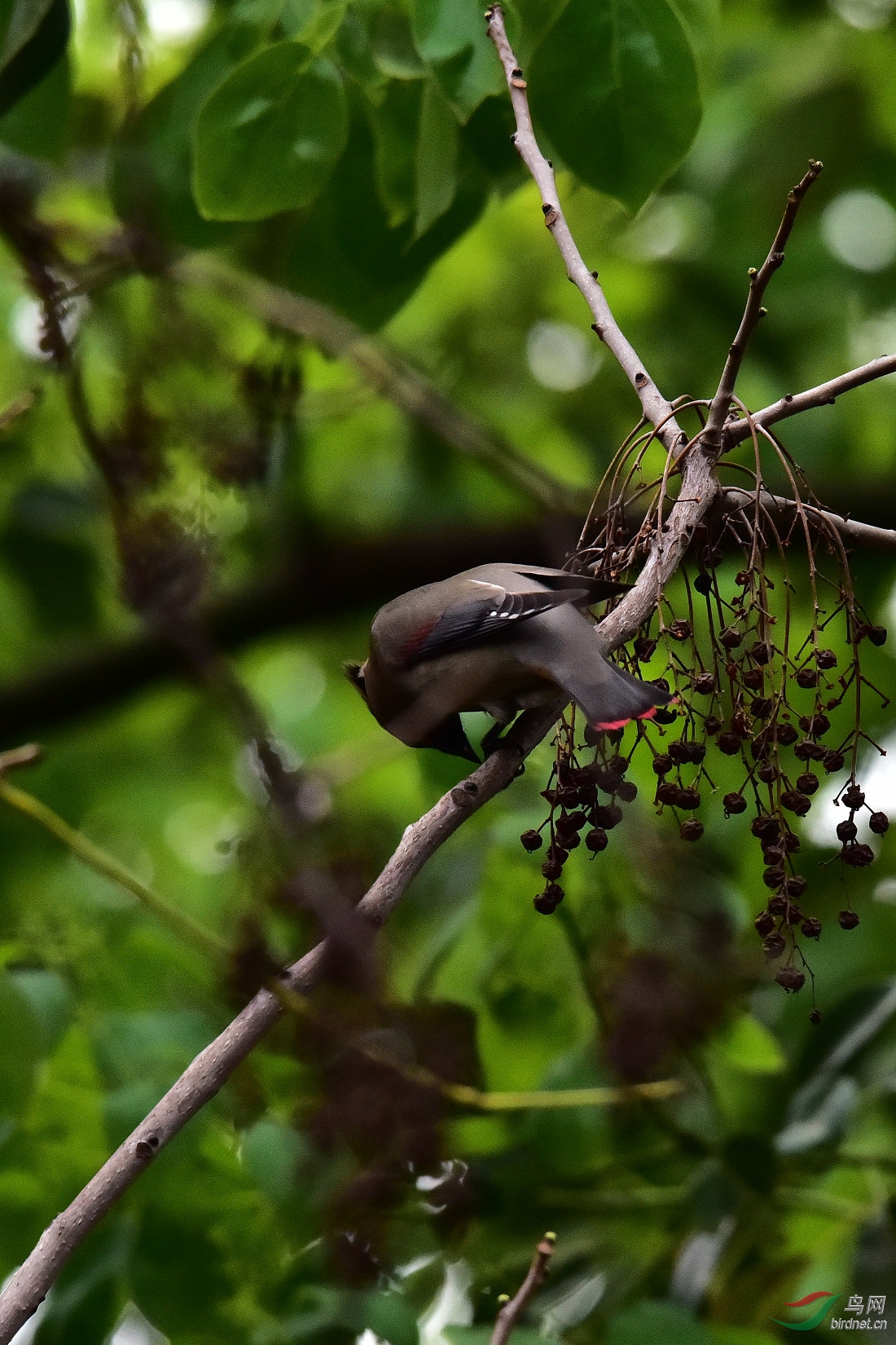 DSC_0395.JPG