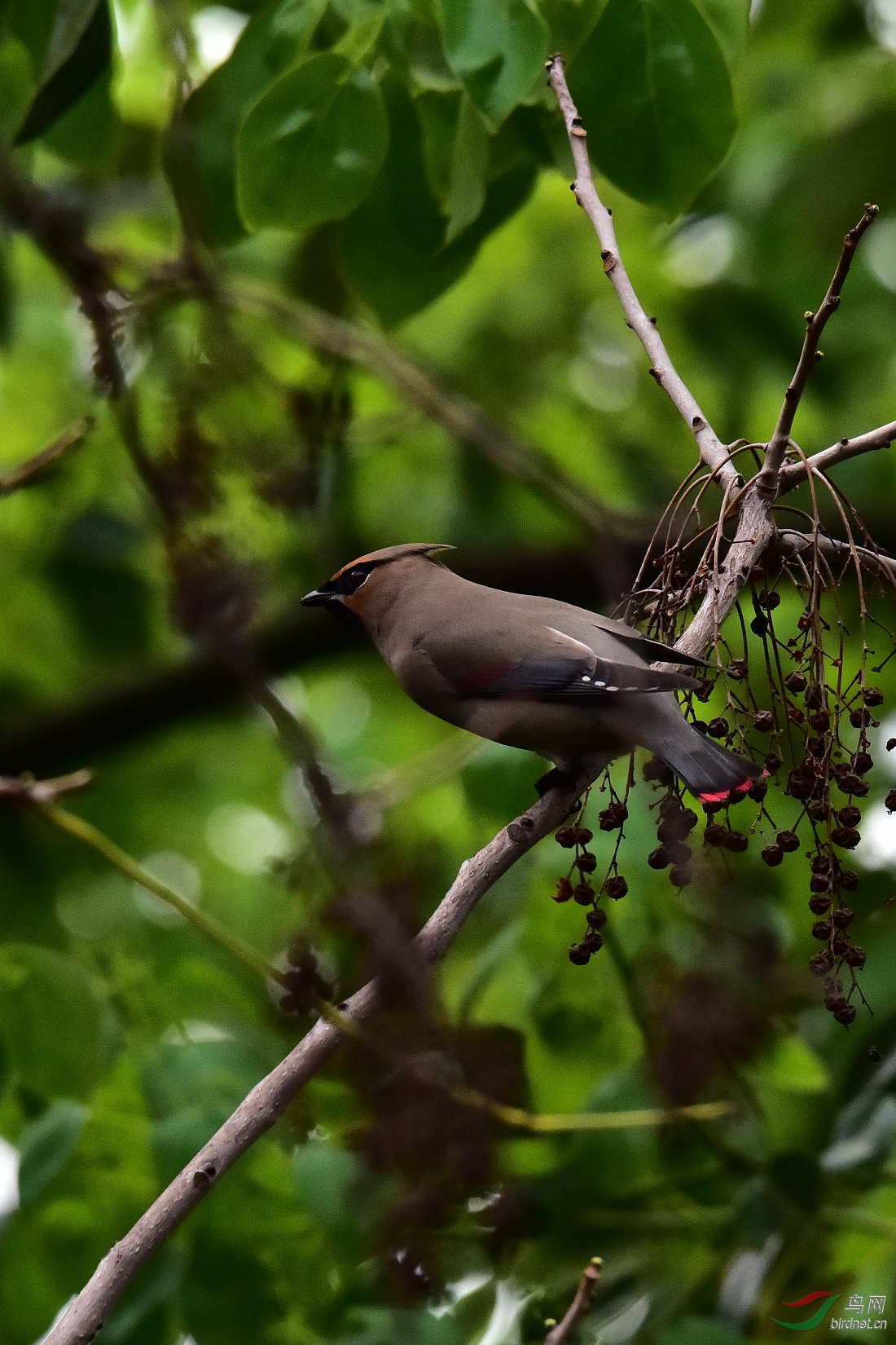 DSC_0396.JPG