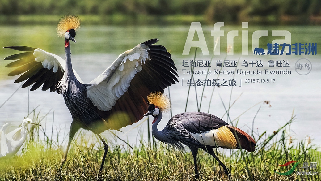 1-074A0389 �����-1.jpg