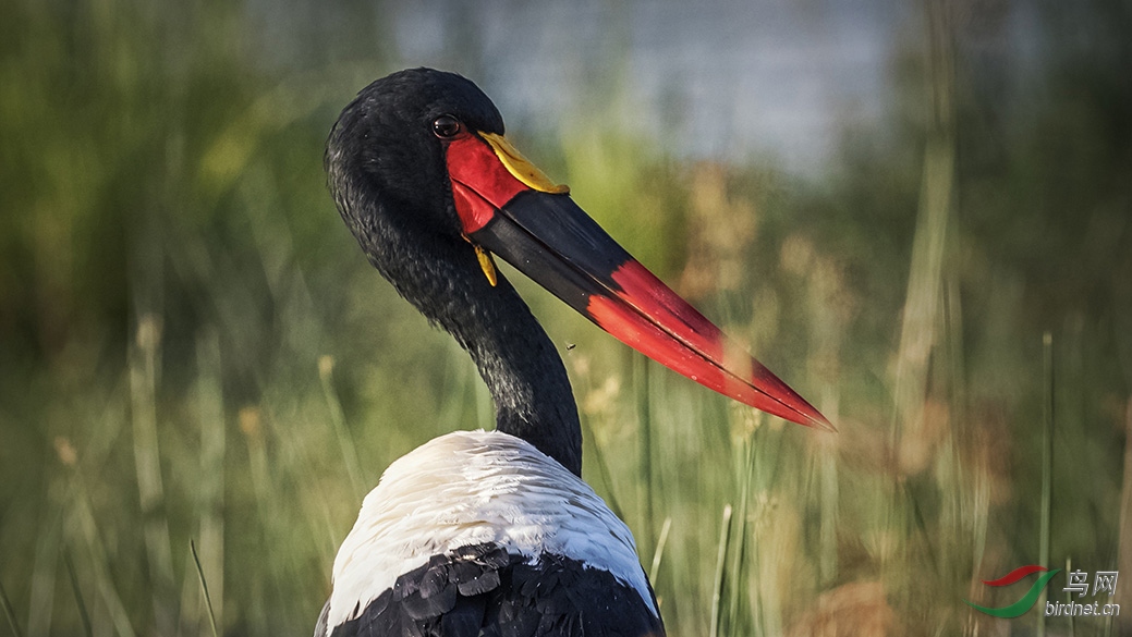 5-C73I1034 ������-1.jpg