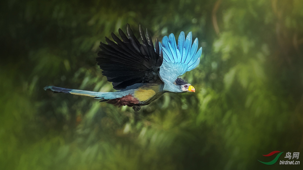 4-C73I0583 ������-1.jpg