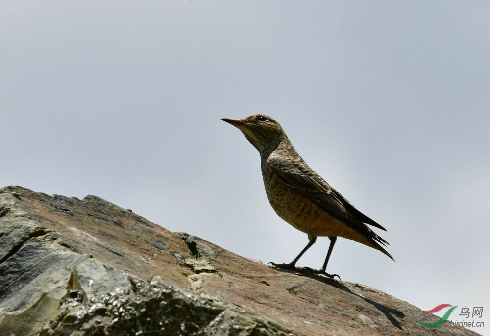 DSC_4976.JPG