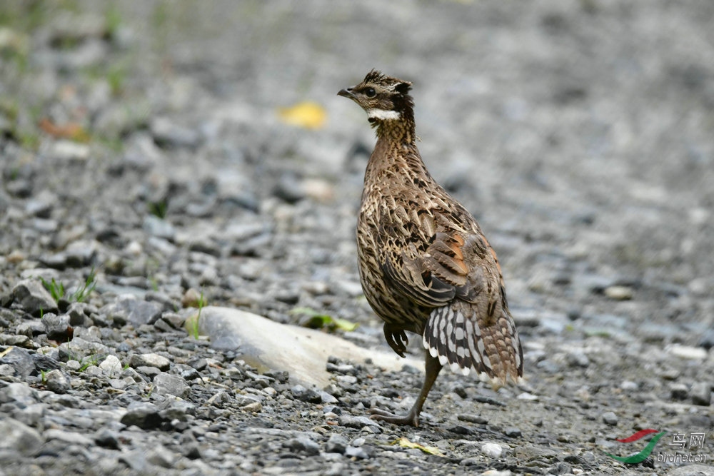 DSC_5634.JPG