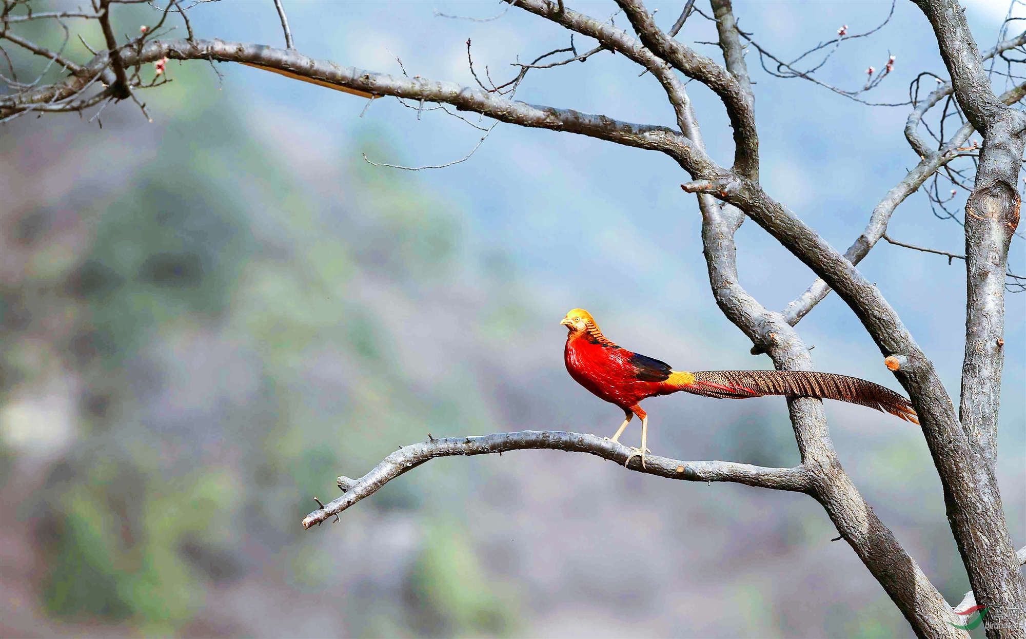 H46R0212_����_���� (2).jpg