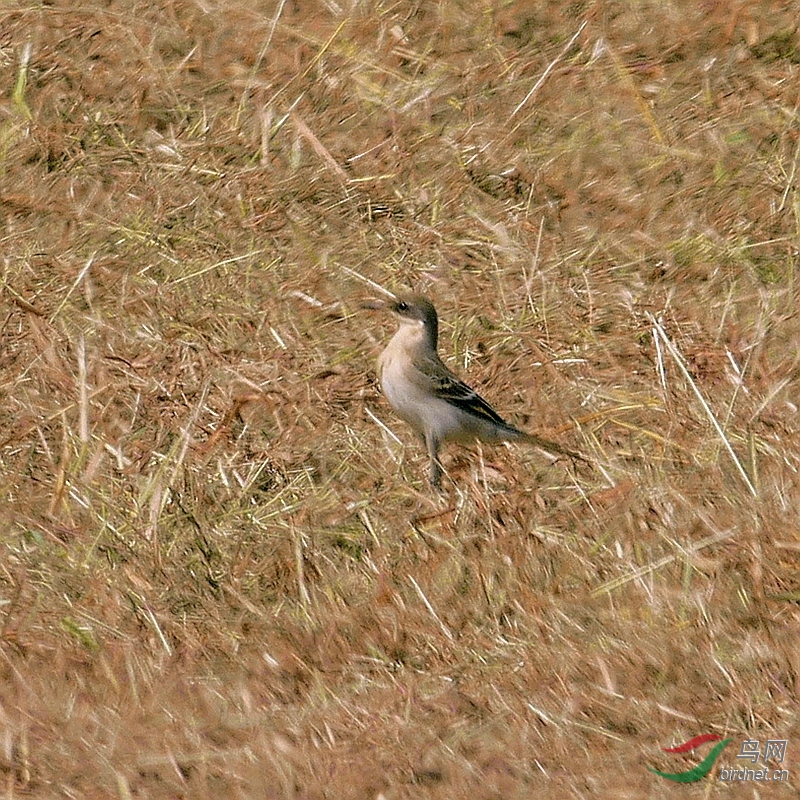 P5520176 - ����.JPG