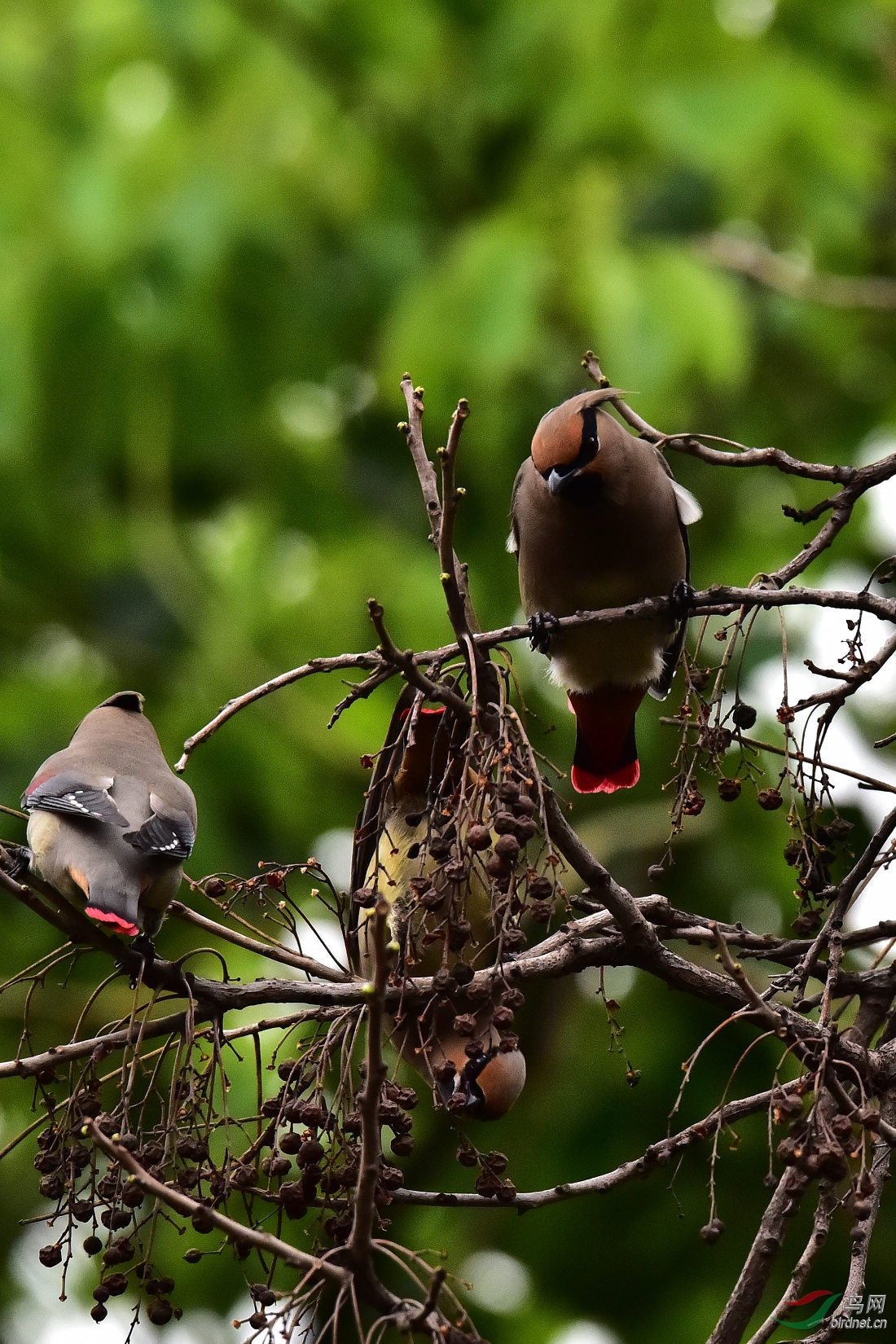 DSC_0405.JPG