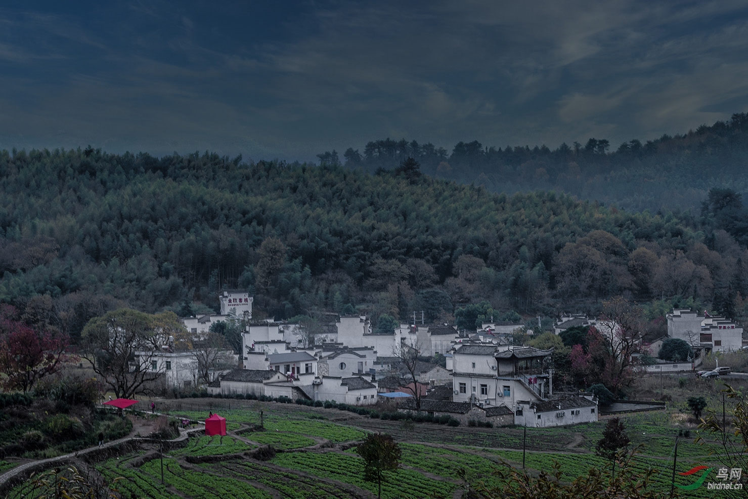 DSC_3924-6.jpg