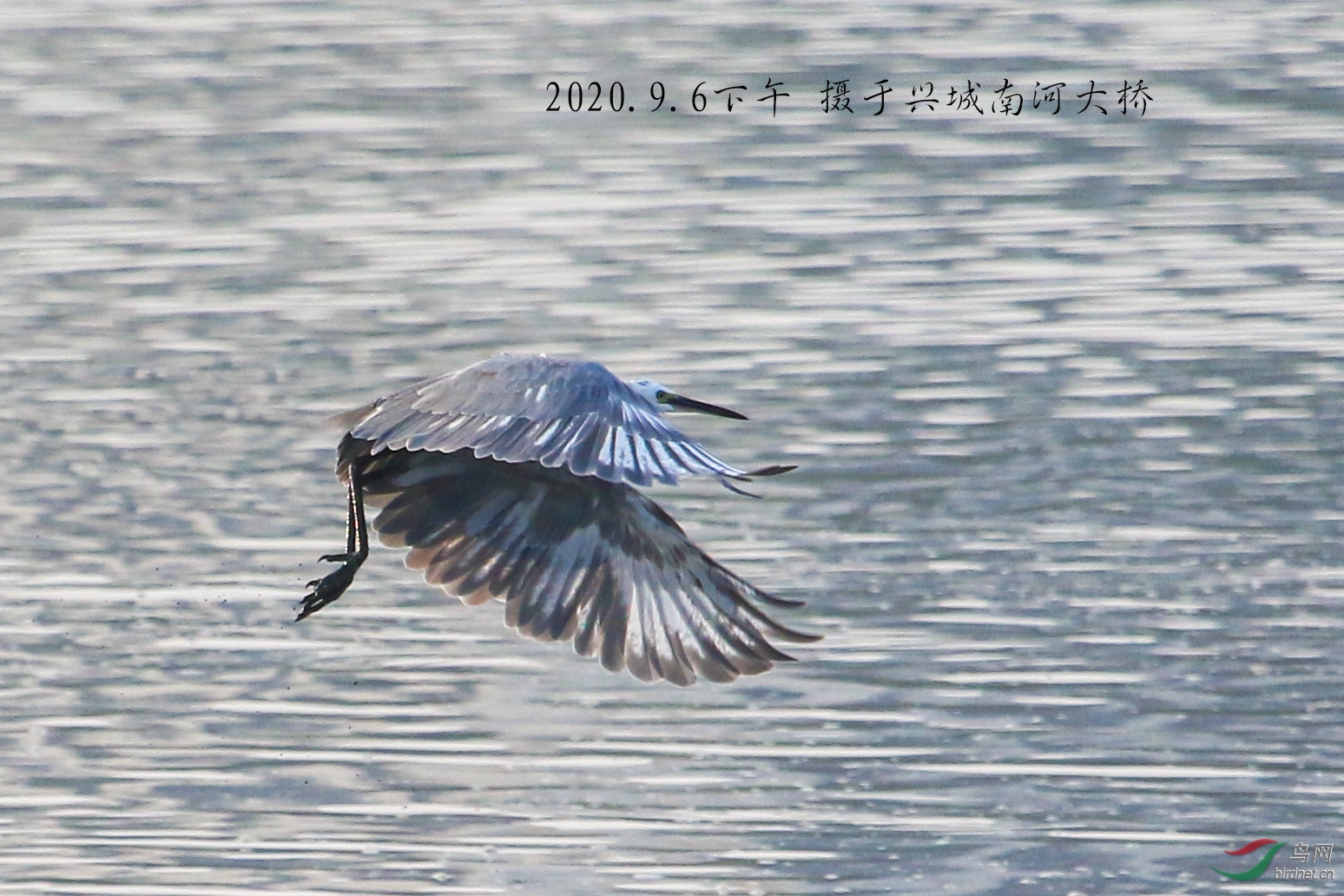 IMG_5652-1 拷贝-1 拷贝.jpg