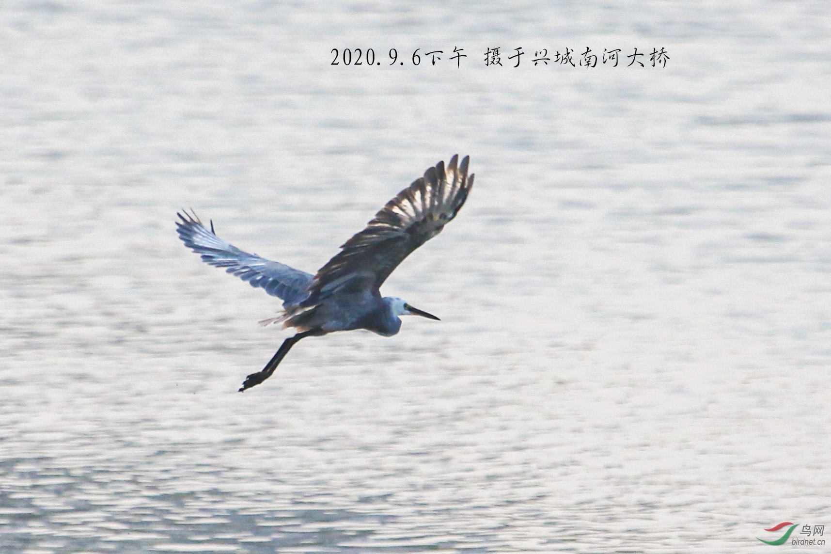 IMG_5655-1 拷贝-1 拷贝.jpg