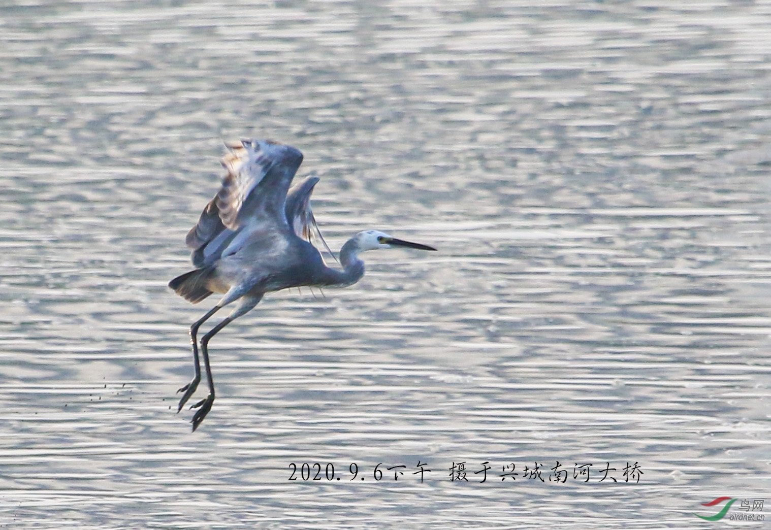 IMG_5649-1 拷贝-1 拷贝.jpg