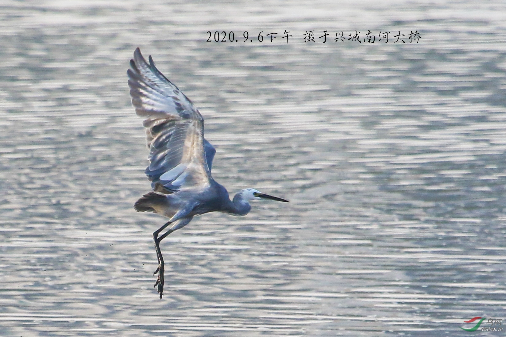 IMG_5651-1 拷贝-1 拷贝.jpg