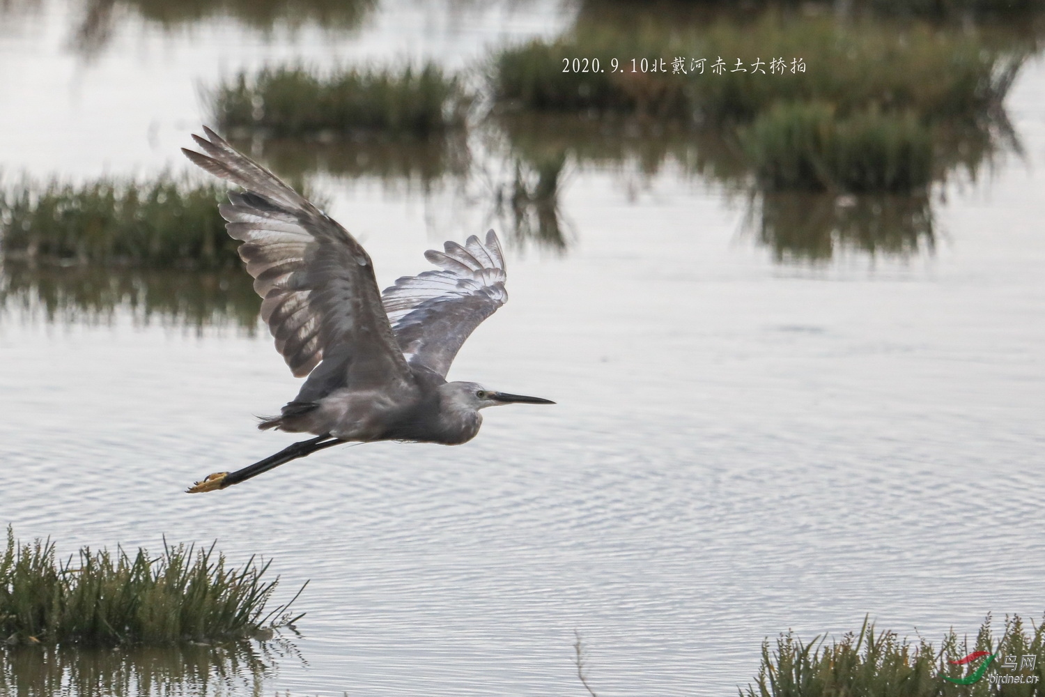 E86A0234-1 拷贝-1 拷贝_调整大小.jpg