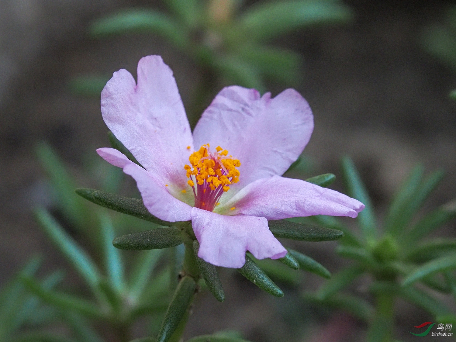 P9190488.jpg