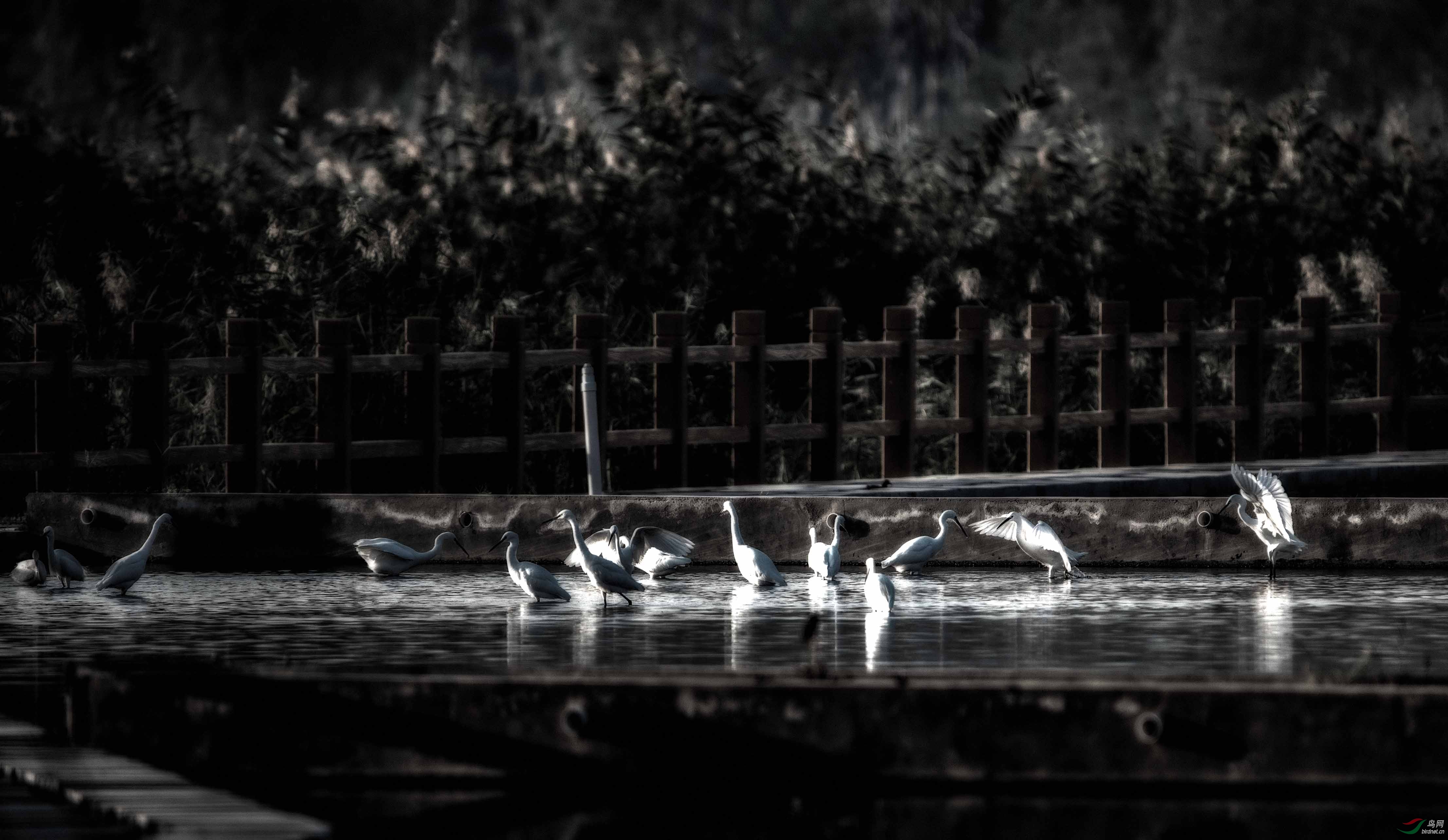 ��Ϫ����