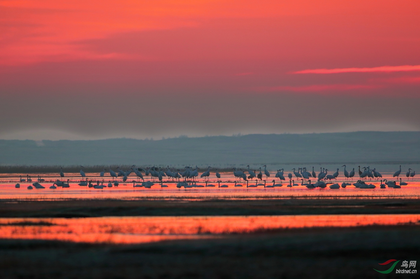 c15.JPG