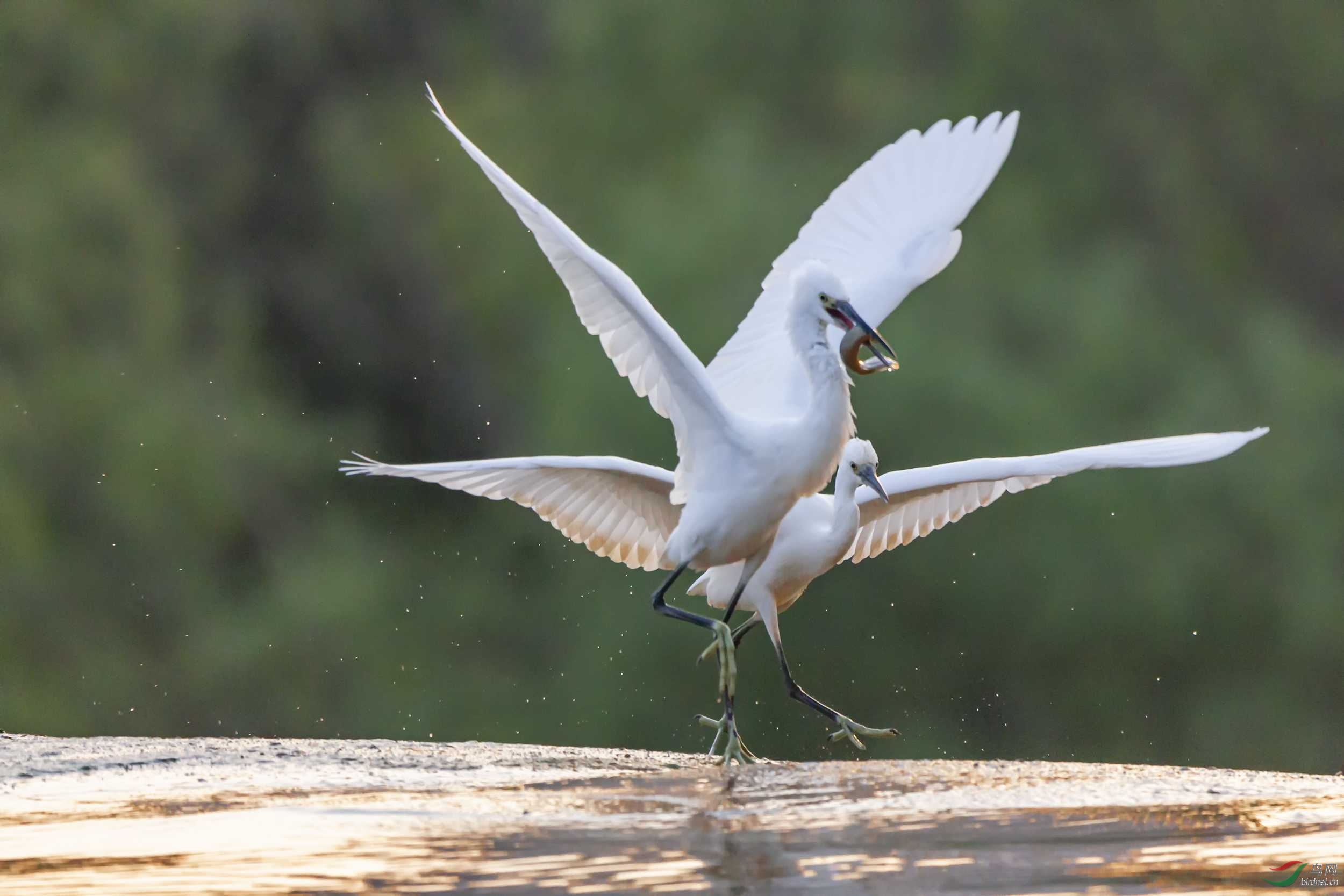 IMG_1152 ����.jpg