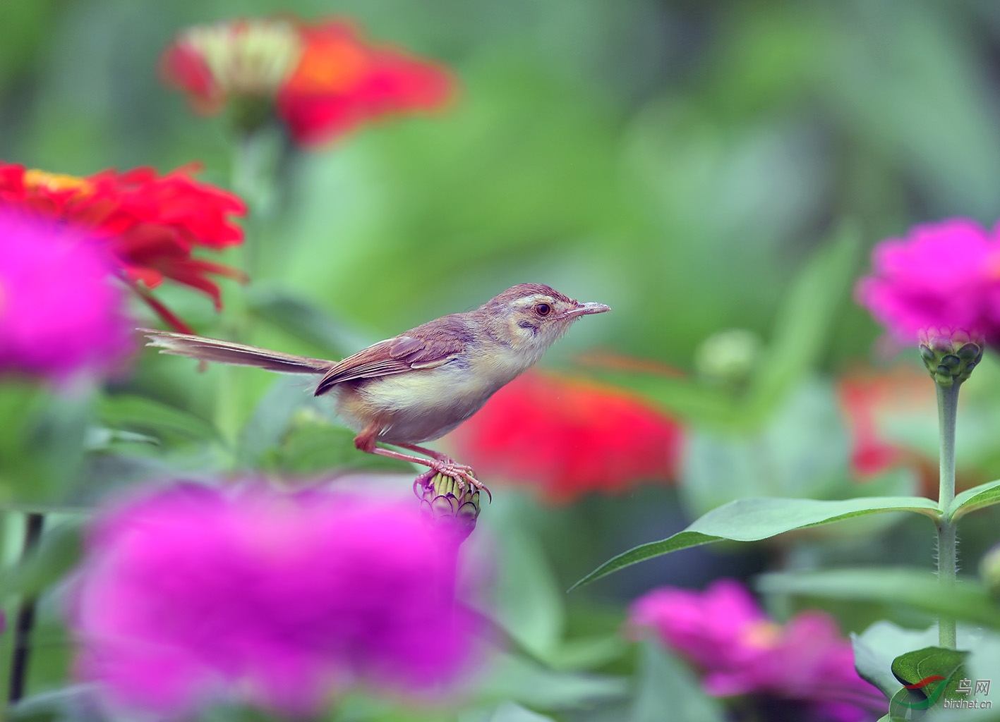 DSC_7760.jpg