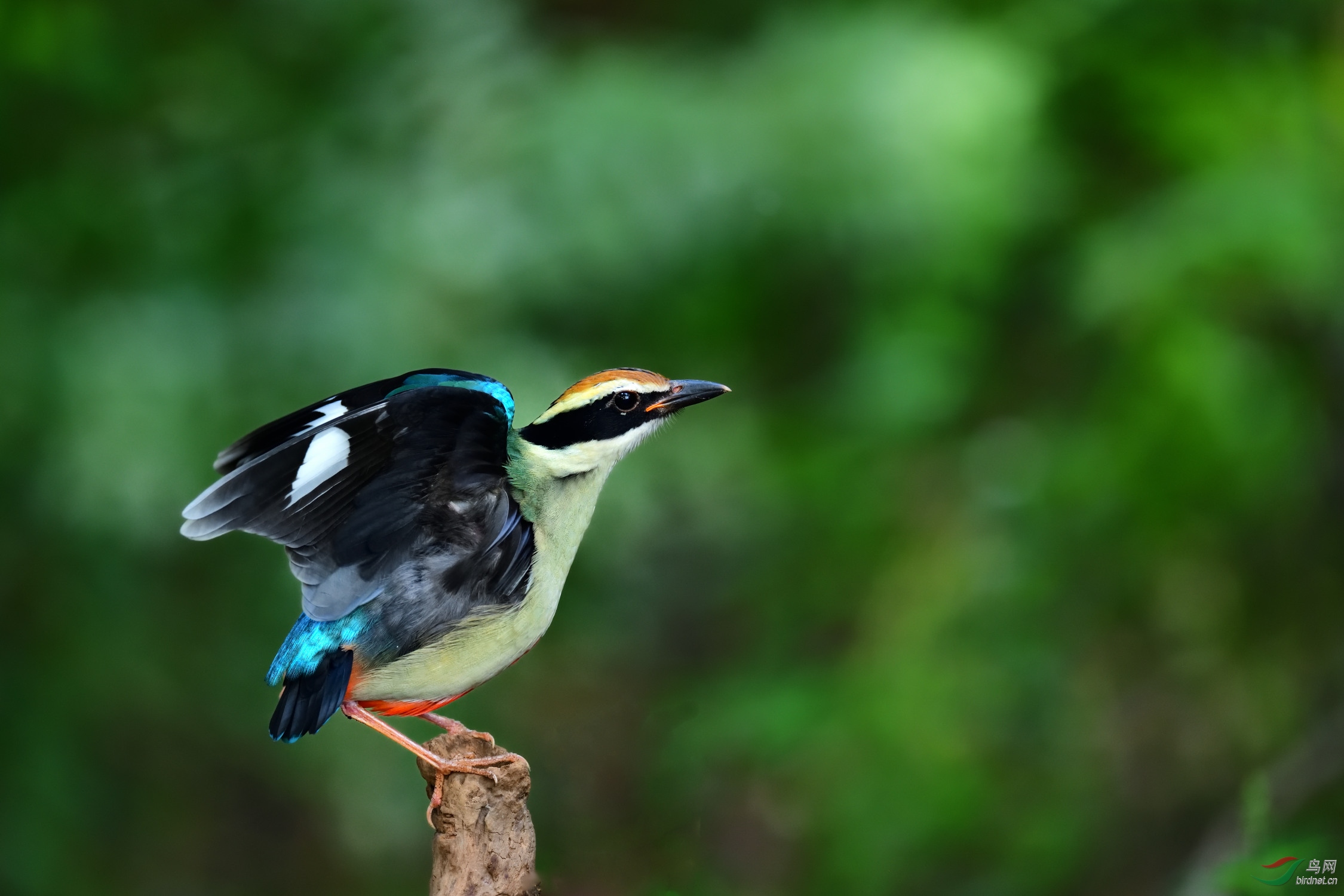 DSC_7357_00001.jpg