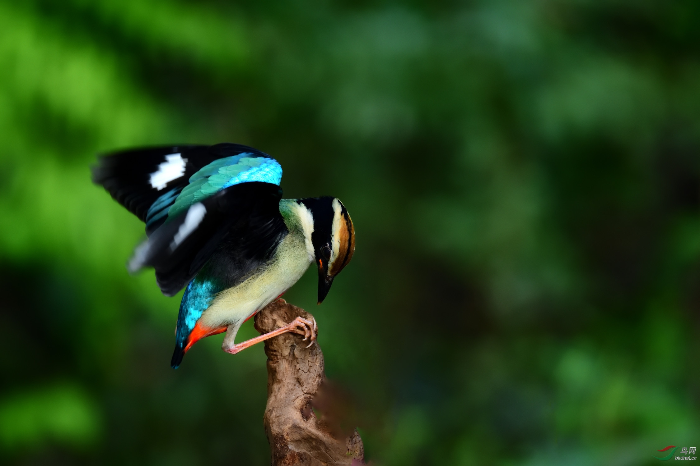 DSC_7490_00001.jpg