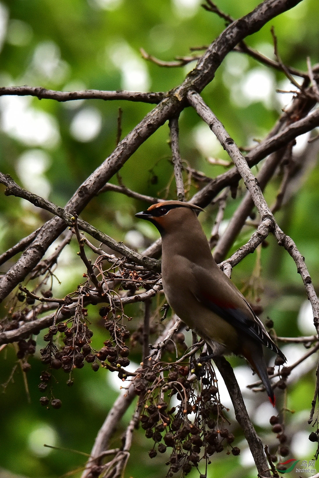 DSC_0424.JPG