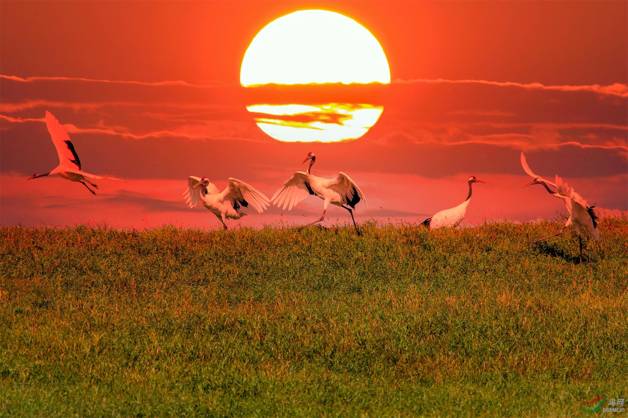 _70I1637=  ����Ϧ����.jpg