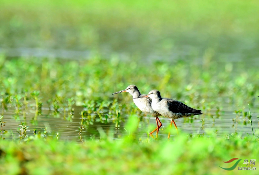 ���� (8).jpg