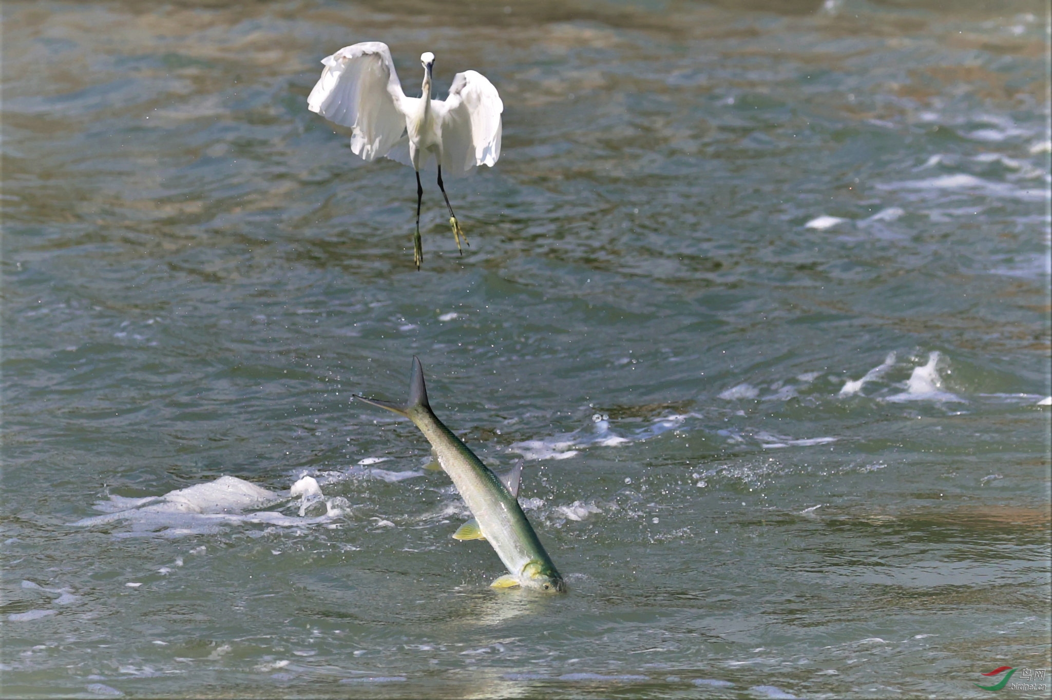 ͻ������ �o�Y�� 2I6311--01.jpg