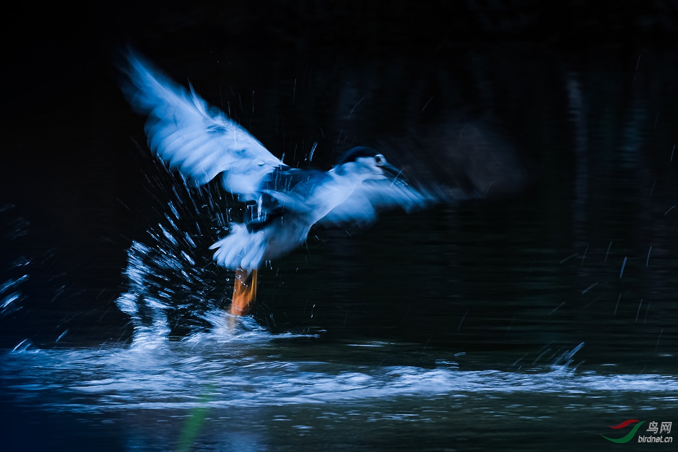 ����ҹ��