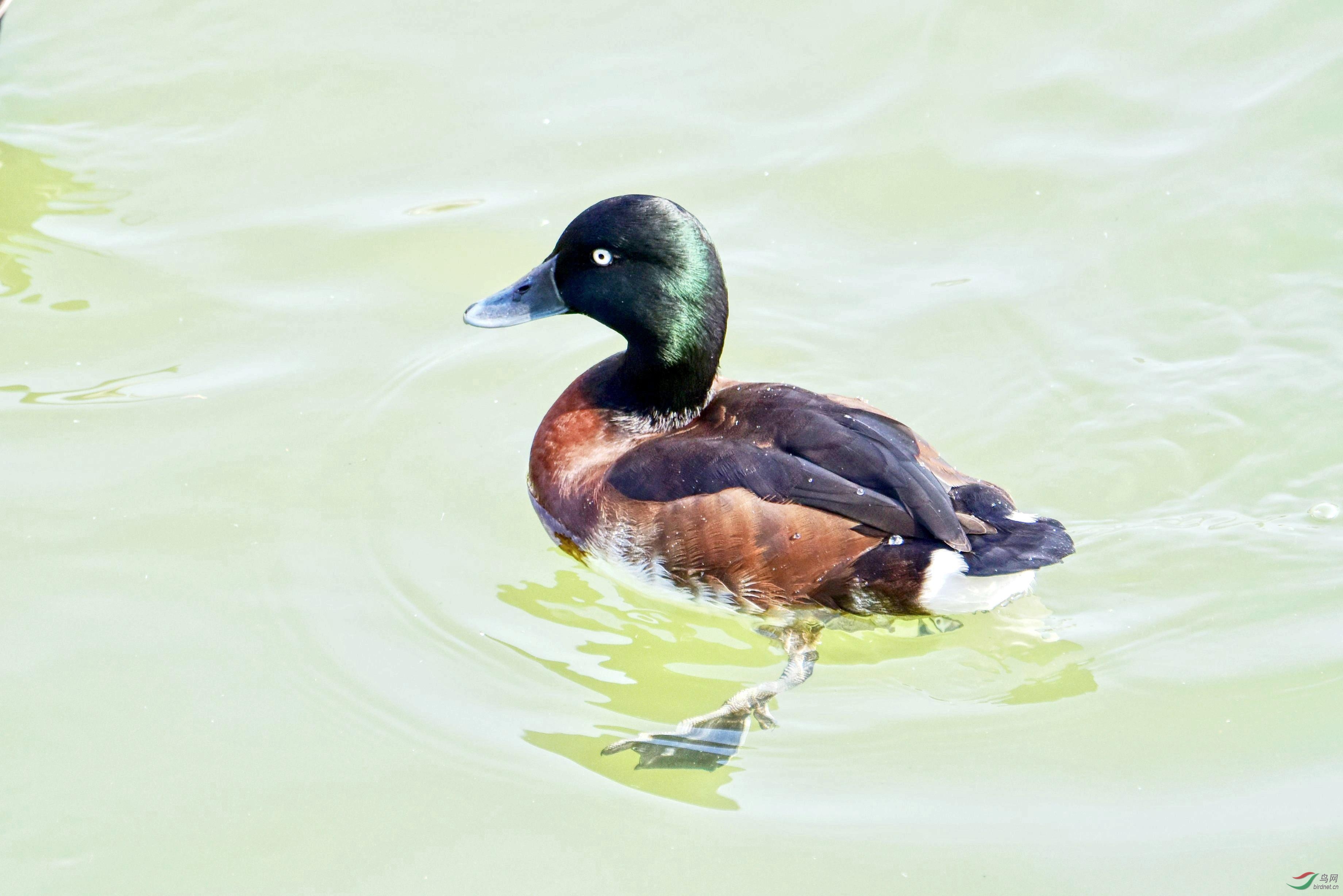 DSC_6413_conew3.jpg