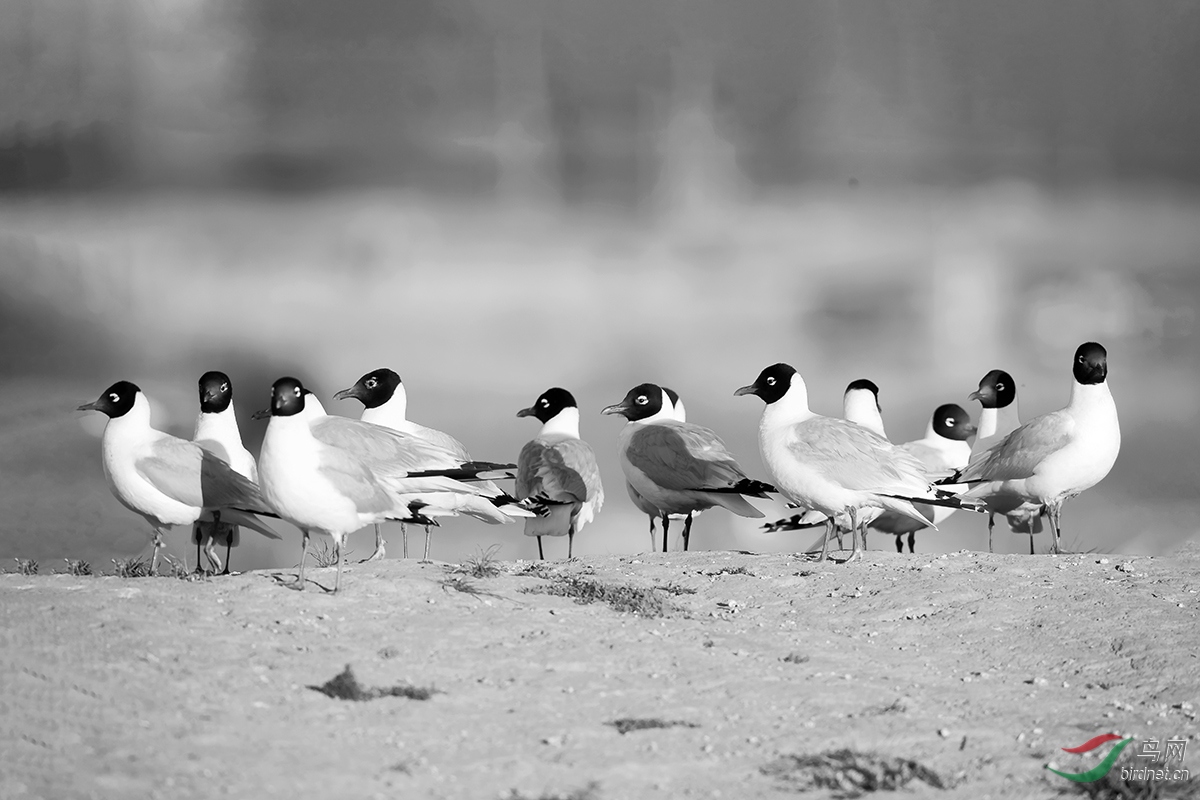_DSC6780��Ÿ09-17A-B.jpg